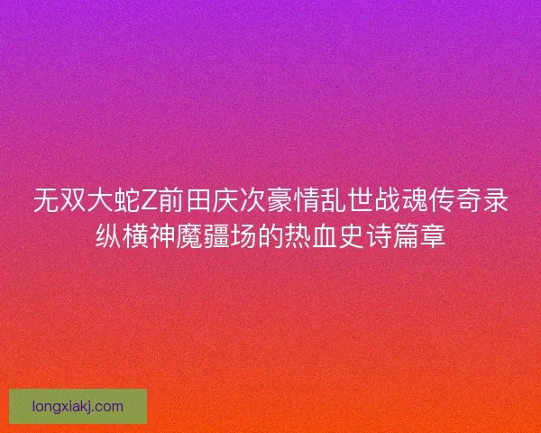 无双大蛇Z前田庆次豪情乱世战魂传奇录纵横神魔疆场的热血史诗篇章